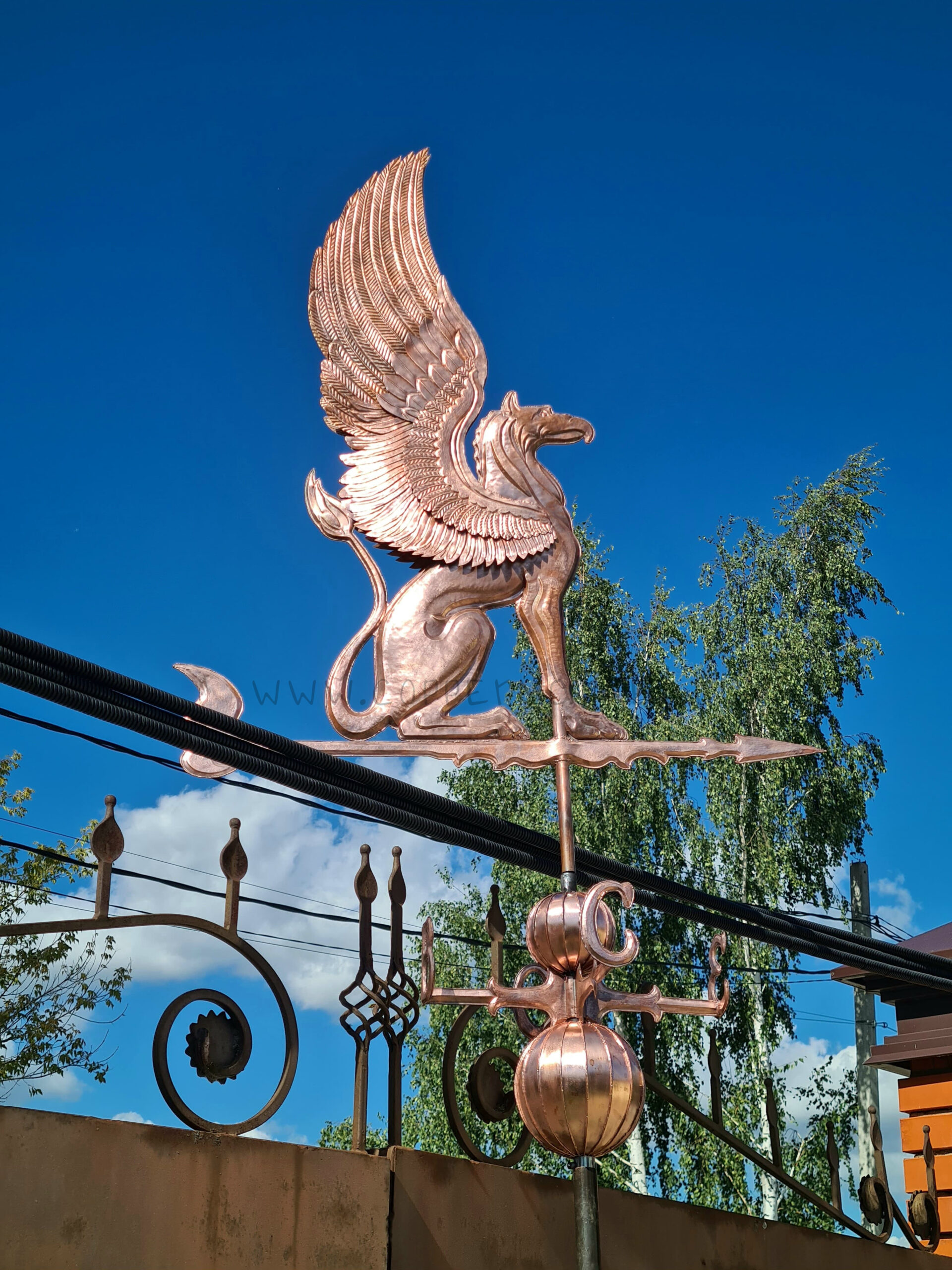 mednyi_fluger_grifon (1)