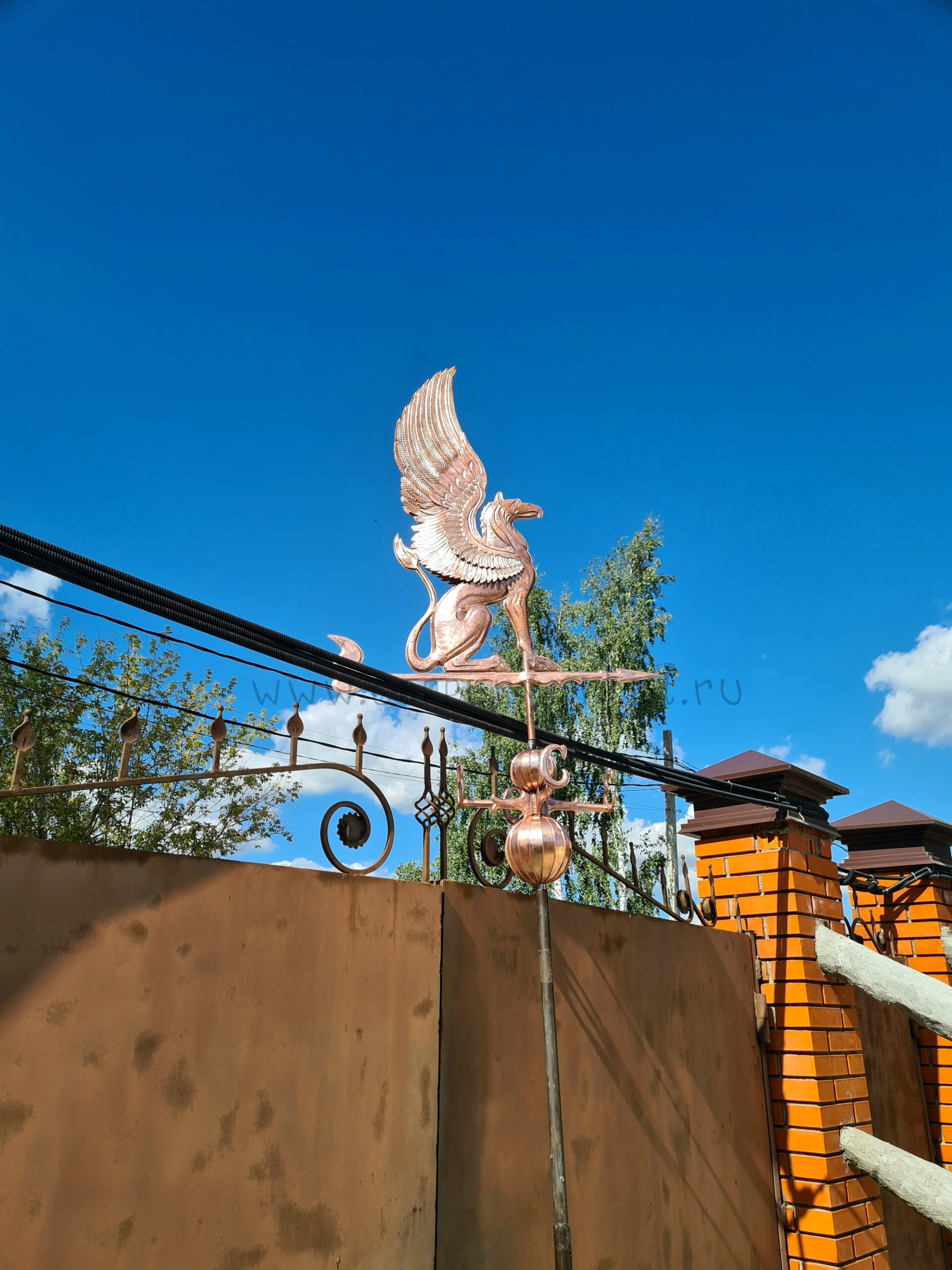 mednyi_fluger_grifon (5)